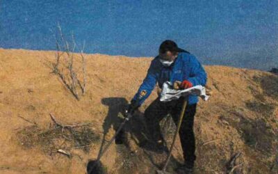 Els conills, una plaga agrícola controlable per fumigació