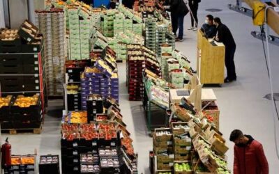 Obre a Mercabarna el primer mercat majorista d’aliments ecològics d’Espanya