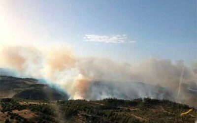 Foc i cendres