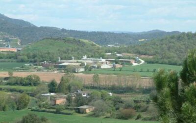 Limitat 4 anys més l’augment de les granges a les zones amb més bestiar