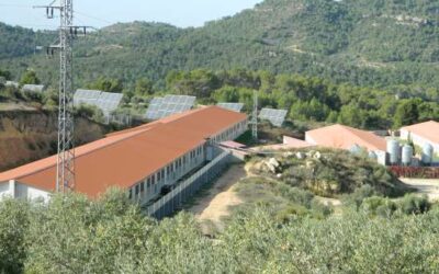 Més casos de PPA, i el que això comporta