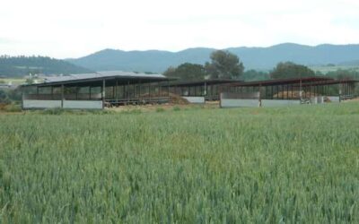 5 milions d’hectàrees de terres en risc d’abandonament
