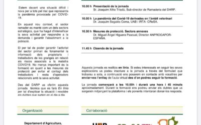 Jornada tècnica en línia