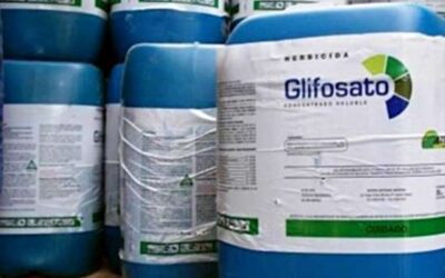El glifosat