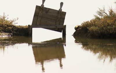 Agropres organitza una jornada tècnica a la Fira de Sant Miquel de Lleida