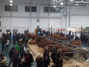 Fires d’abril de 2019