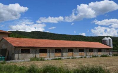 ﻿La indústria porcina i el medi rural