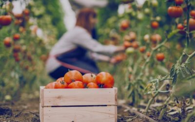 Agronitro: un projecte de recerca
